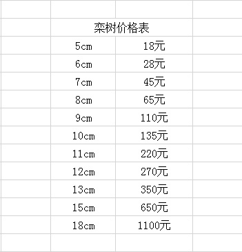 南县水杉,南县池衫,南县落羽杉,中山杉